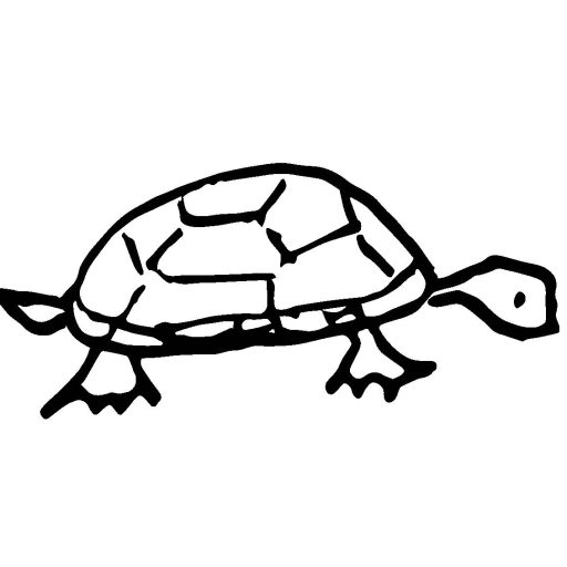 Thornton Hollow Springs and Arboretum